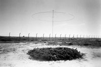 “Mirror Sketches” 2