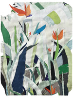 Birds of Paradise 2