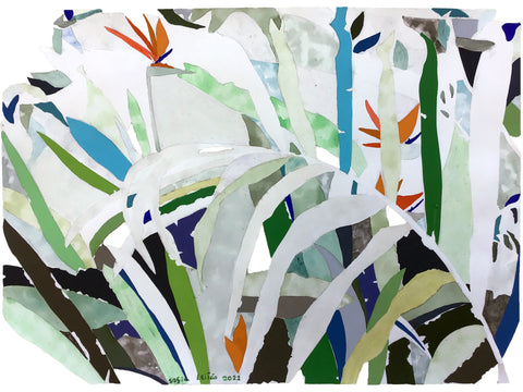 Birds of Paradise 3