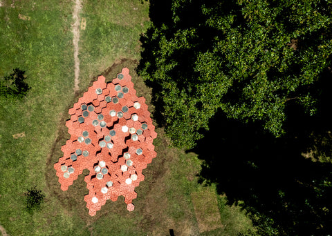 Inauguração da obra “Calçada para o conhecimento” 50 anos UM