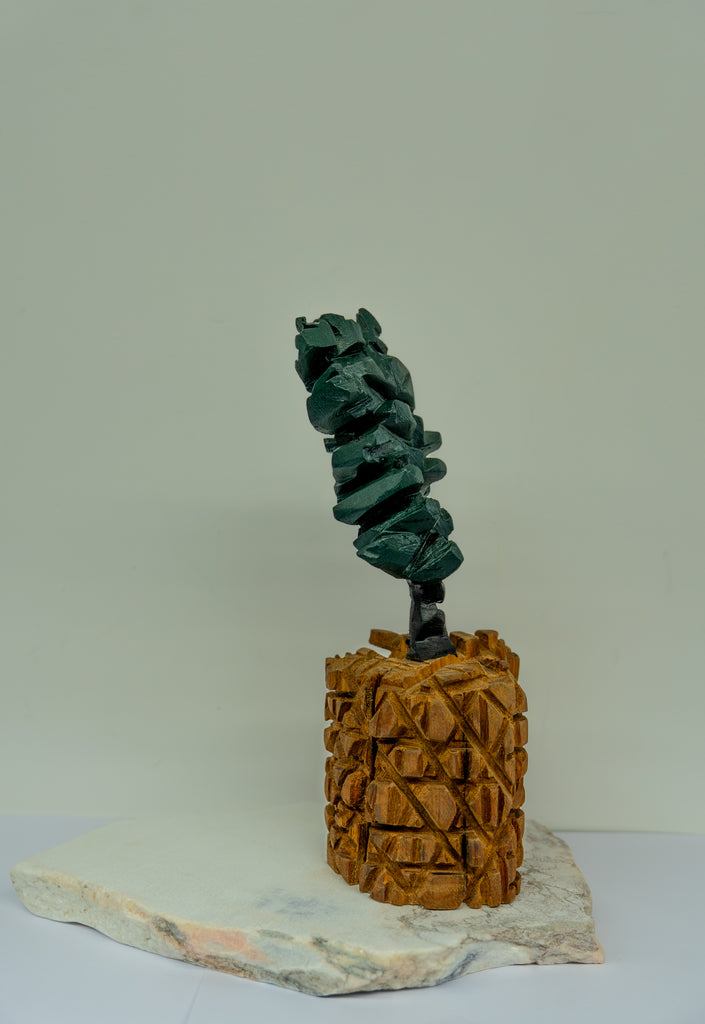 Série "Árvore, Solo e Pedra"