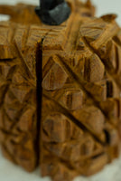 Série "Árvore, Solo e Pedra"