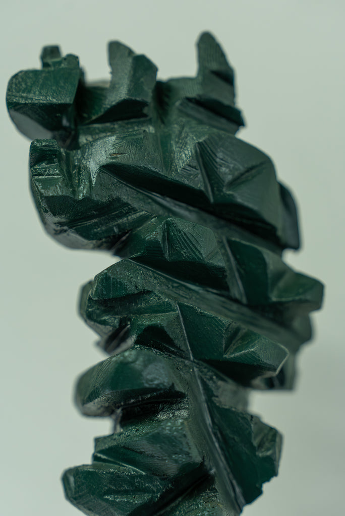 Série "Árvore, Solo e Pedra"