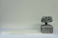 Série " Árvore e Solo"