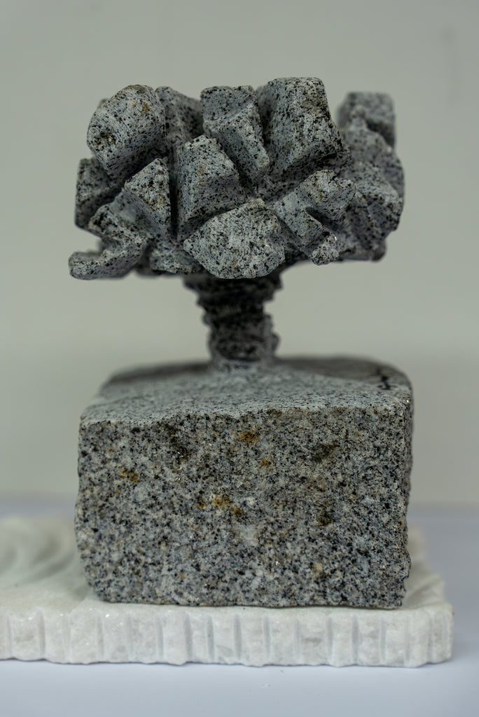 Série " Árvore e Solo"