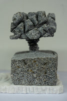 Série " Árvore e Solo"