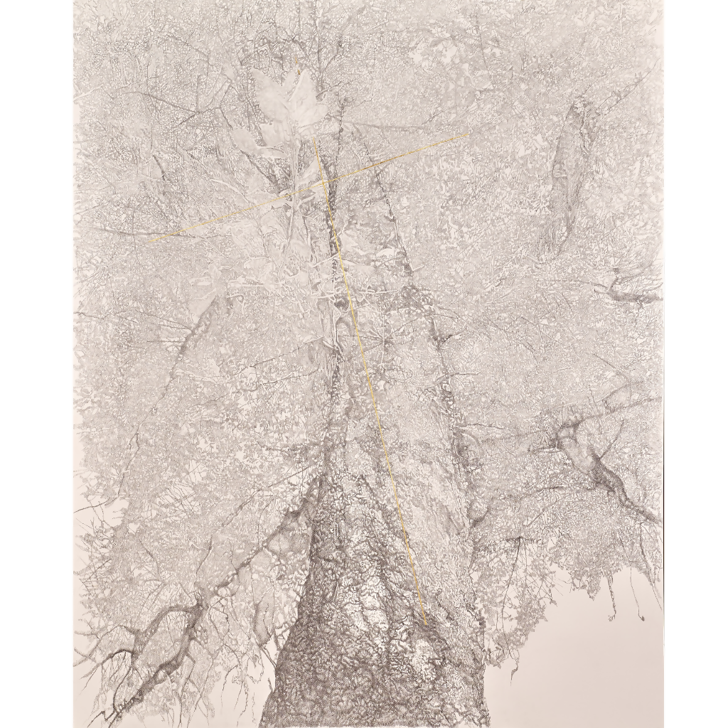 FILIGREE FOREST_2