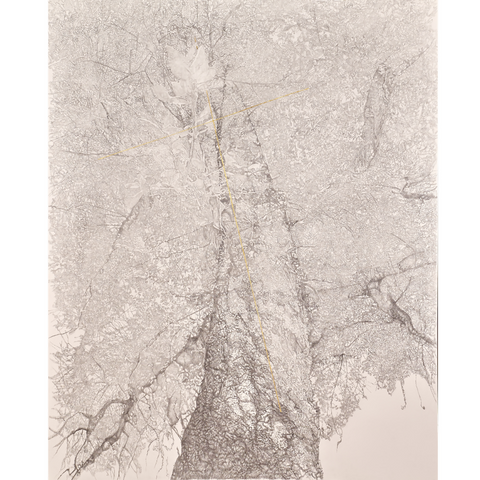 FILIGREE FOREST_2