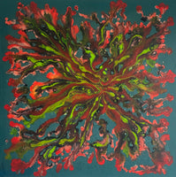 Algae 