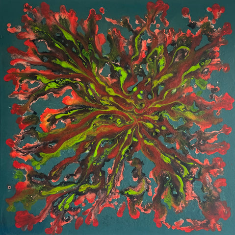 Algae 