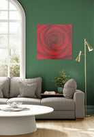 Uma Rosa para Pauline Boty