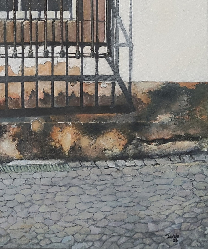 Ventana enrejada- Miranda do Douro