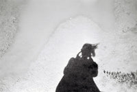 Series “Mirror Sketches”