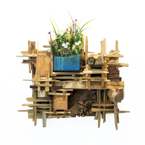 Florir no Imenso Solo I