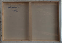 Panorámica aérea de Oporto