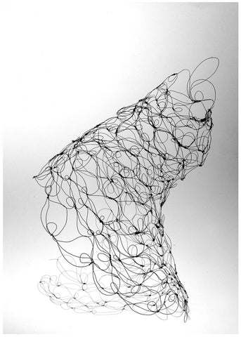 Da Série, Cardumes VI