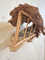 Foi por casa das Raízes