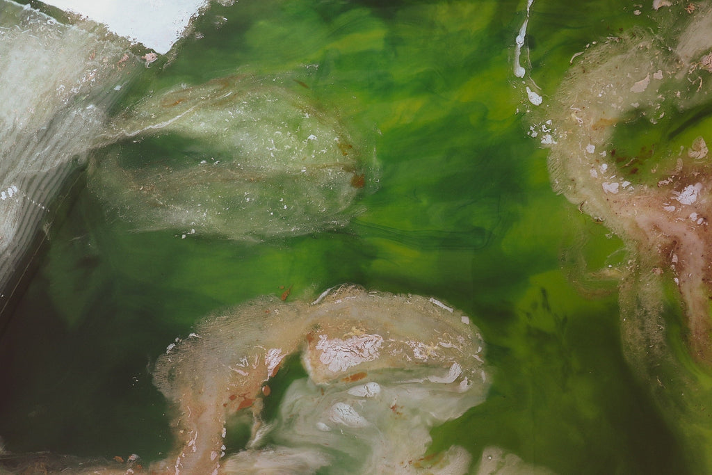 Marmoreum Vert
