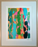 Resquícios Série IV nº8