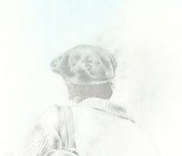 Caminhar é Preciso IV