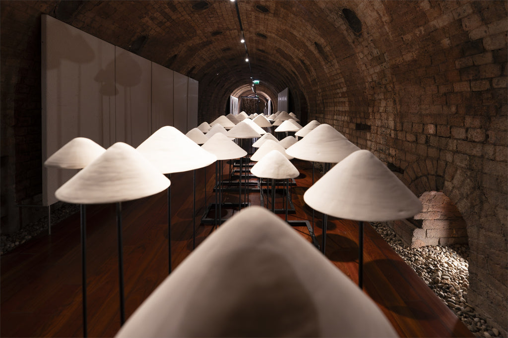 Ânion-Cátion (entre a terra e o céu)