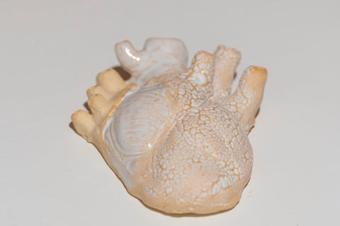 Coração em contramão