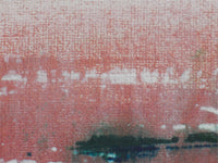 “Peregrinando XLVI”