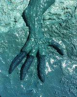 Nem tudo é turquesa