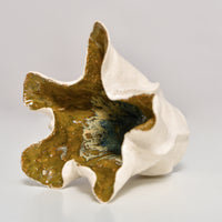 Fuscos V | Coleção Oceano