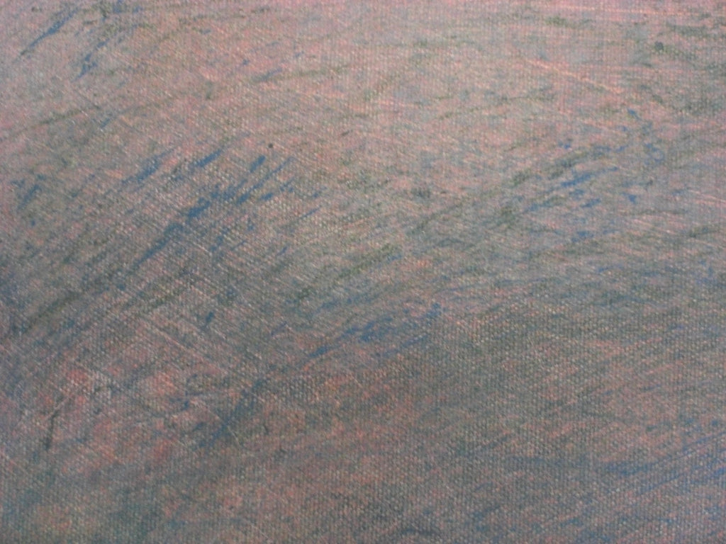 “Peregrinando XXX”