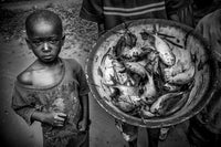 Guiné-Bissau / Guinea-Bissau, 2014