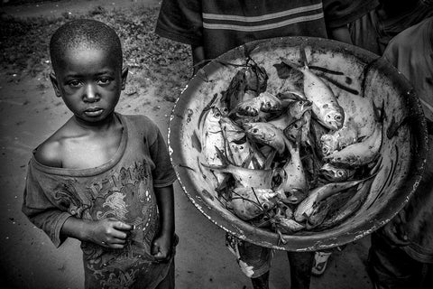 Guiné-Bissau, 2014