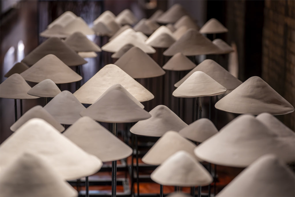 Ânion-Cátion (entre a terra e o céu)