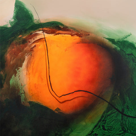 communicatio.onis #5