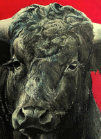 Brave bull on red