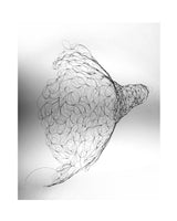 Genetrix