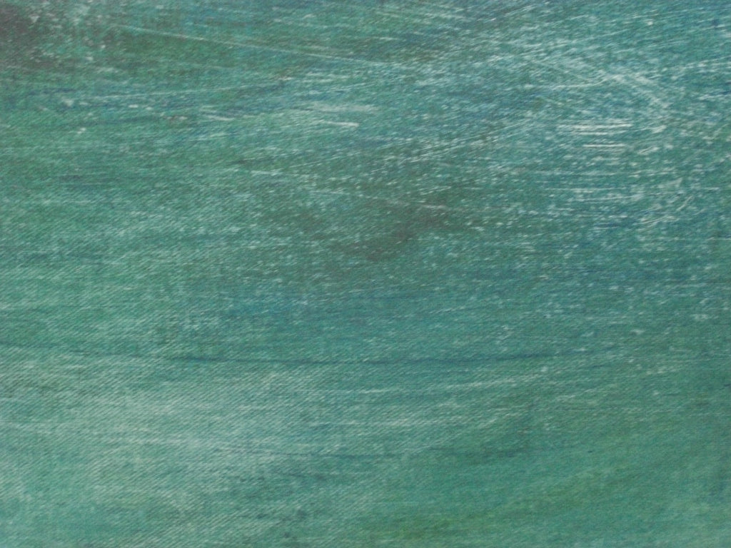 “Peregrinando XXVII”