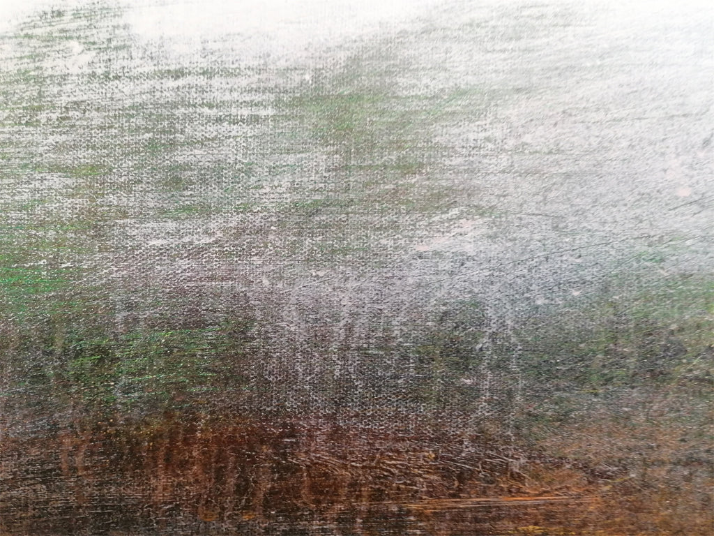 #1 Peregrinando Sempre