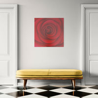 Uma Rosa para Pauline Boty